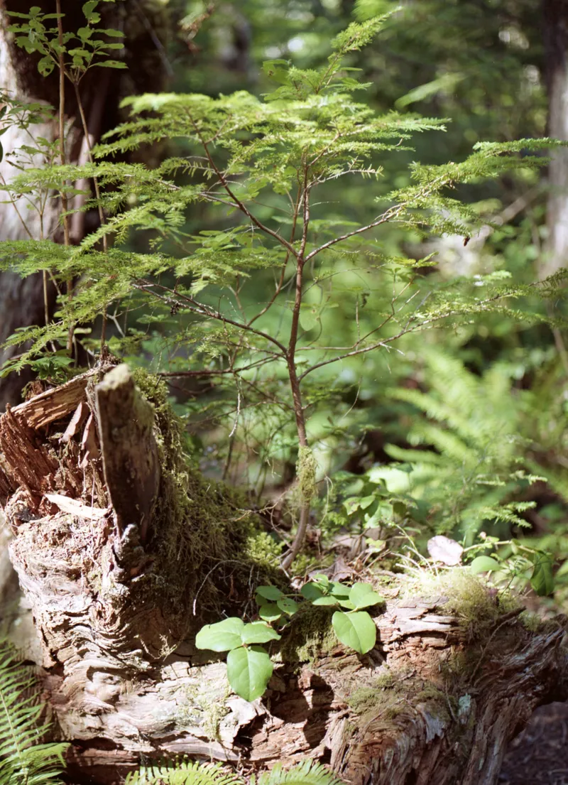 PORTRA160 201