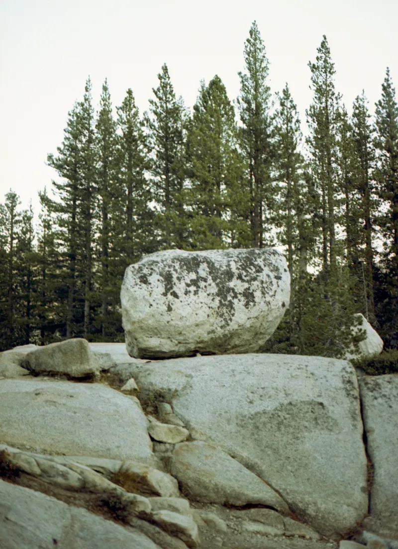 PORTRA319